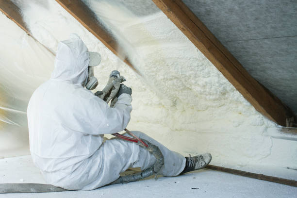 Types of Insulation We Offer in Mulberry, FL